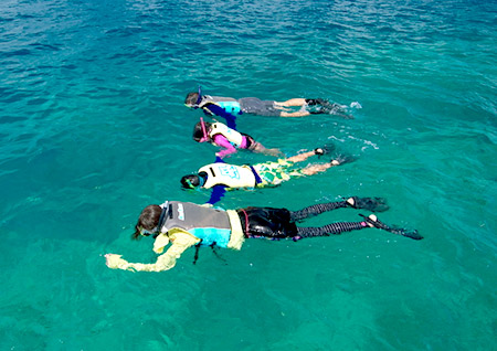 Experience Boat Snorkeling and Cruising