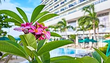 スライド画像2枚目のサムネイル