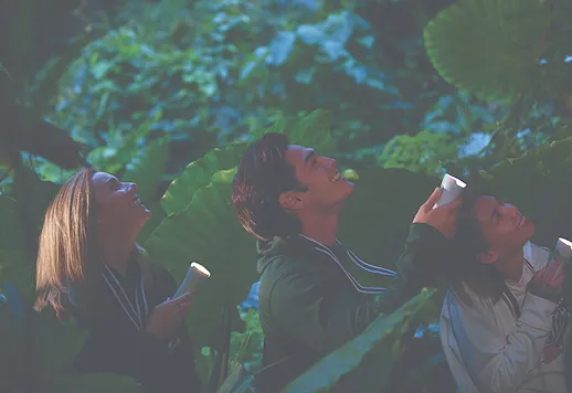 夜のジャングルでライトを手に、笑顔で木の上を見上げて生き物を探しているような探検アクティビティの様子。