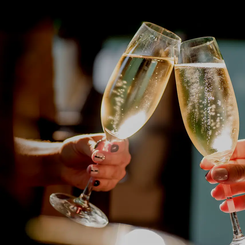 イメージ：新着情報