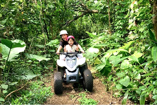 どきどきガジュマルンチャー